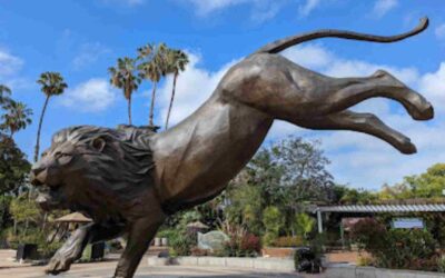 Things To Do In San Diego Zoo, California