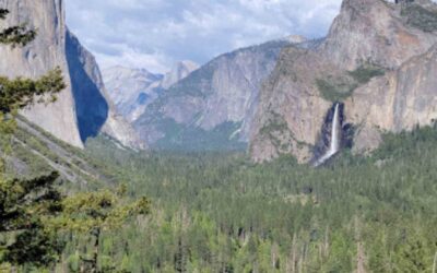 10 Reasons Why Yosemite National Park Is An Amazing Place To Visit