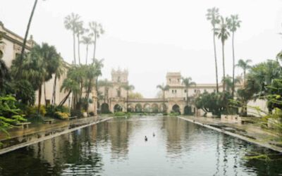 Things To Do In Balboa Park